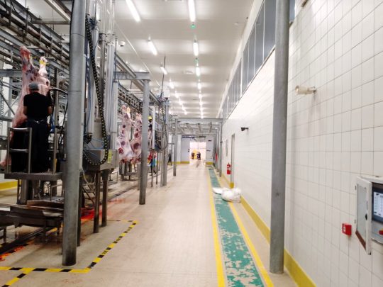 Kocaeli Büyükşehir Belediyesi’nin İzmit Solaklar mevkiinde bulunan mezbahasında, Kurban Bayramı’nın