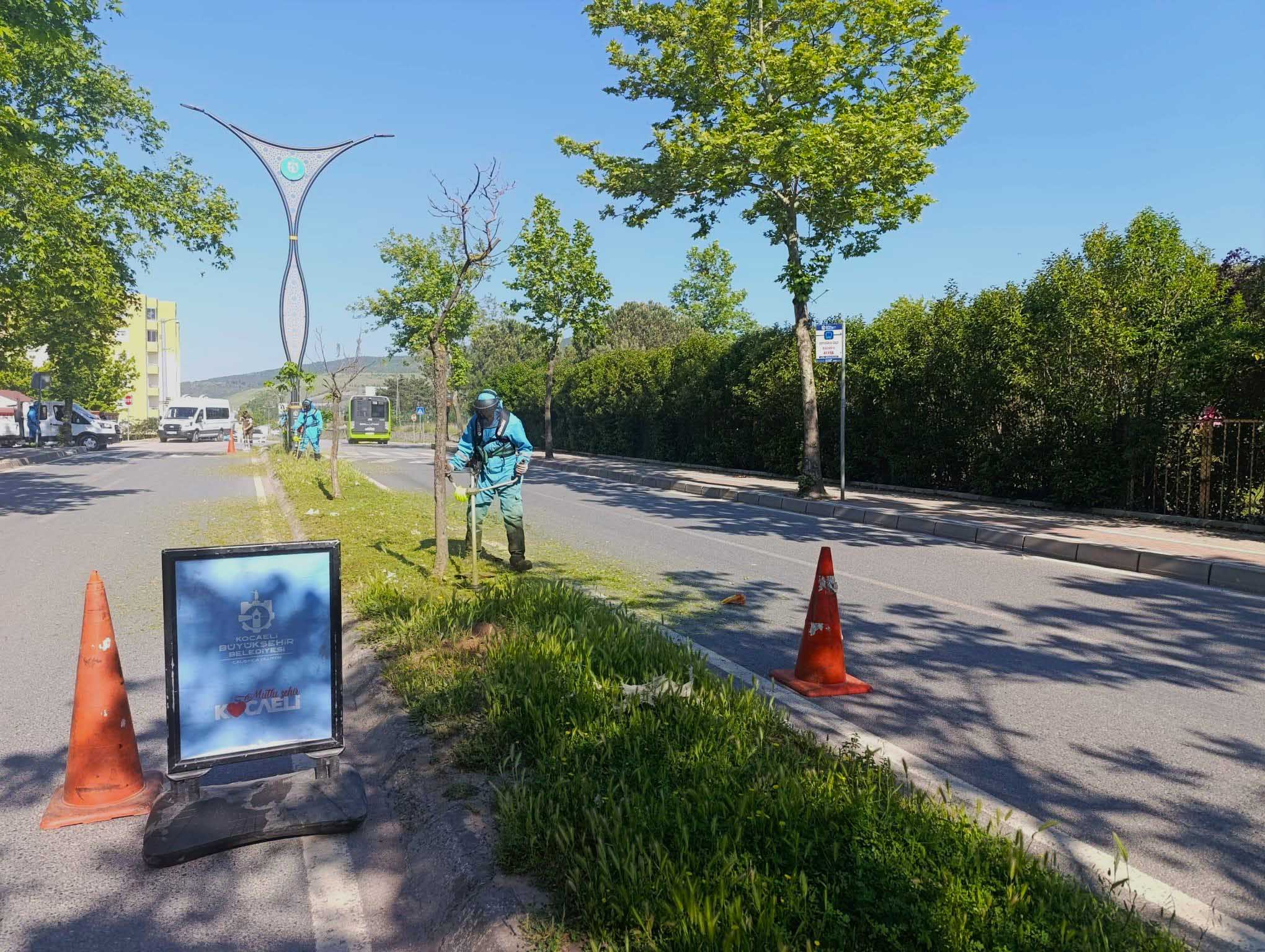 kocaeli
