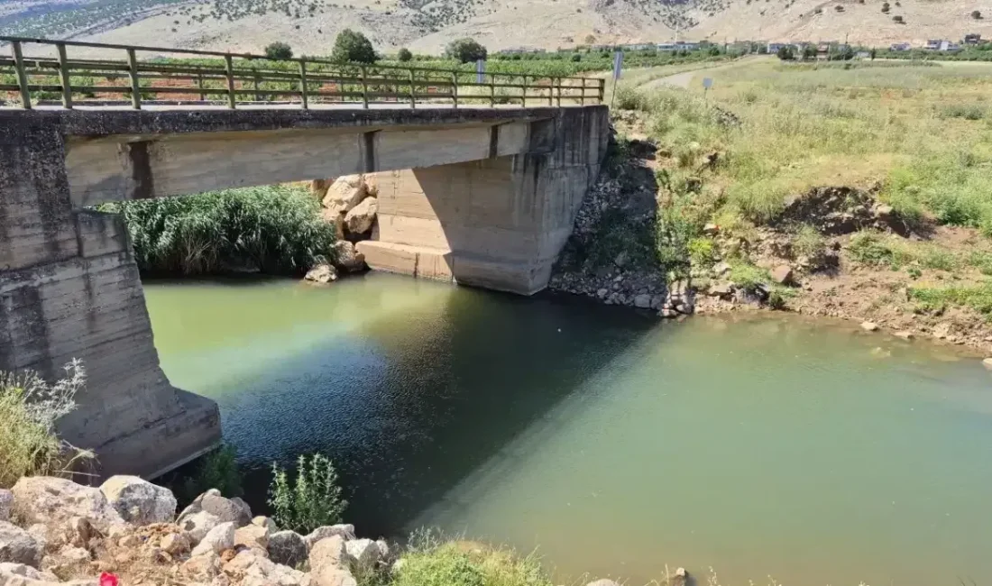 Gaziantep’in Yavuzeli ilçesinde sıcak havaların etkisiyle serinlemek amacıyla arkadaşlarıyla birlikte
