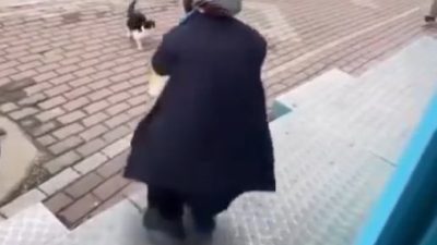 Kocaeli’nin Karamürsel ilçesinde bir zincir market çalışanının sokak kedisine yağ