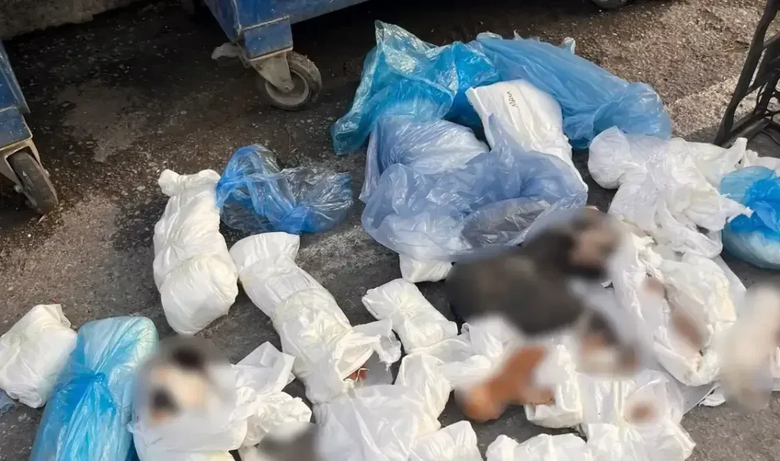 İzmir’de sokak ortasında yaşanan feci bir olay, görenlerin ve duyanların