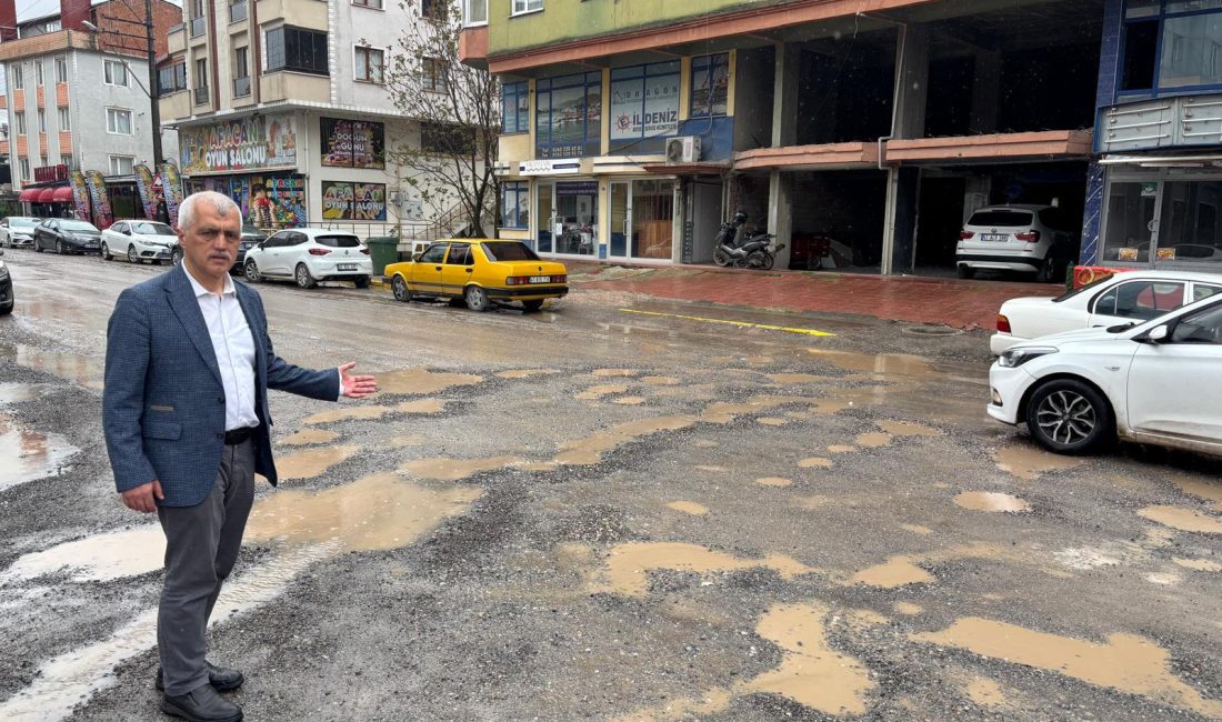 DEM Parti Kocaeli Milletvekili Ömer Faruk Gergerlioğlu, Körfez ilçesinde bakımsızlık