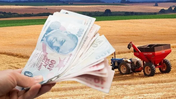 Çiftçiye dev destek! 165,5 milyon lira hesaplara yatıyor