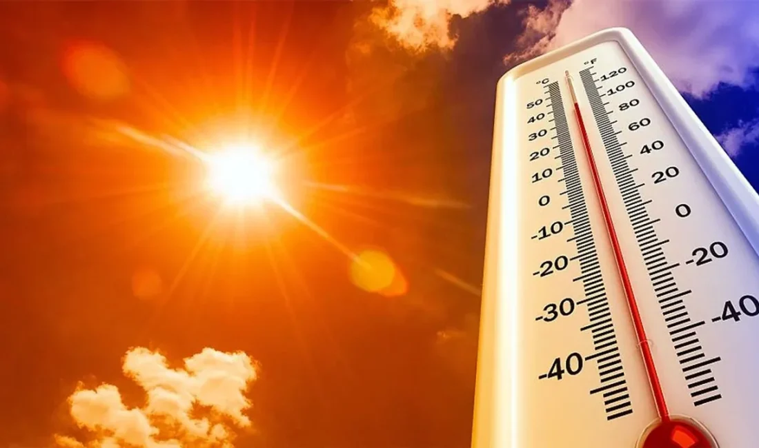 Dünya Meteoroloji Örgütü (WMO), Pasifik Okyanusu'nda varlığını sürdüren El Nino