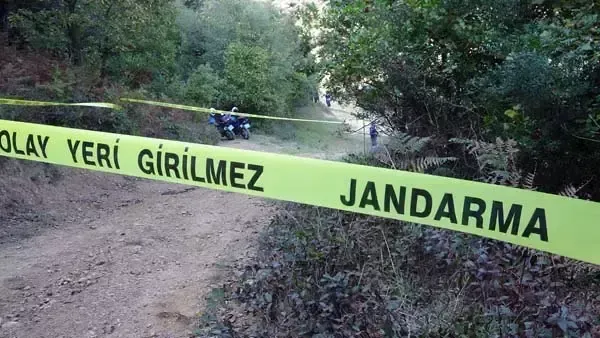 Mantar ararken dehşete düştü: Ekipler giriş çıkışı kapattı!