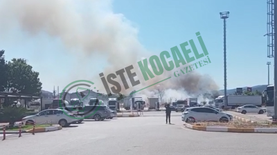 Kocaeli, Anadolu Otoyolu’nda yürekleri ağza getiren korkutucu bir zincirleme yangın