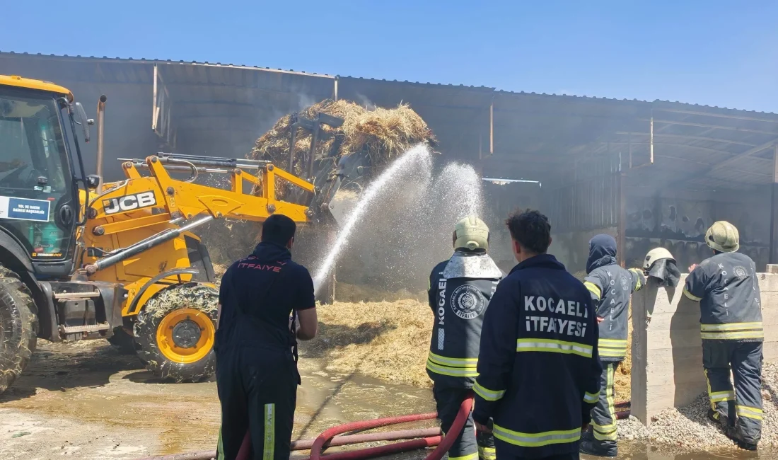 İzmit ilçesinin kırsal bölgelerinden biri olan Bağlıca Mahallesi, dün (pazar