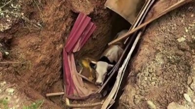 Kocaeli'nin İzmit ilçesinde, sorumsuz define avcılarının geride bıraktığı devasa bir