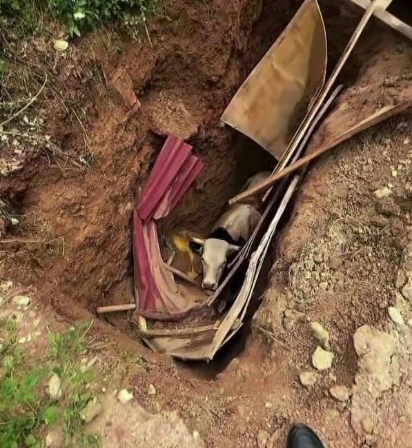 Kocaeli'nin İzmit ilçesinde, sorumsuz define avcılarının geride bıraktığı devasa bir