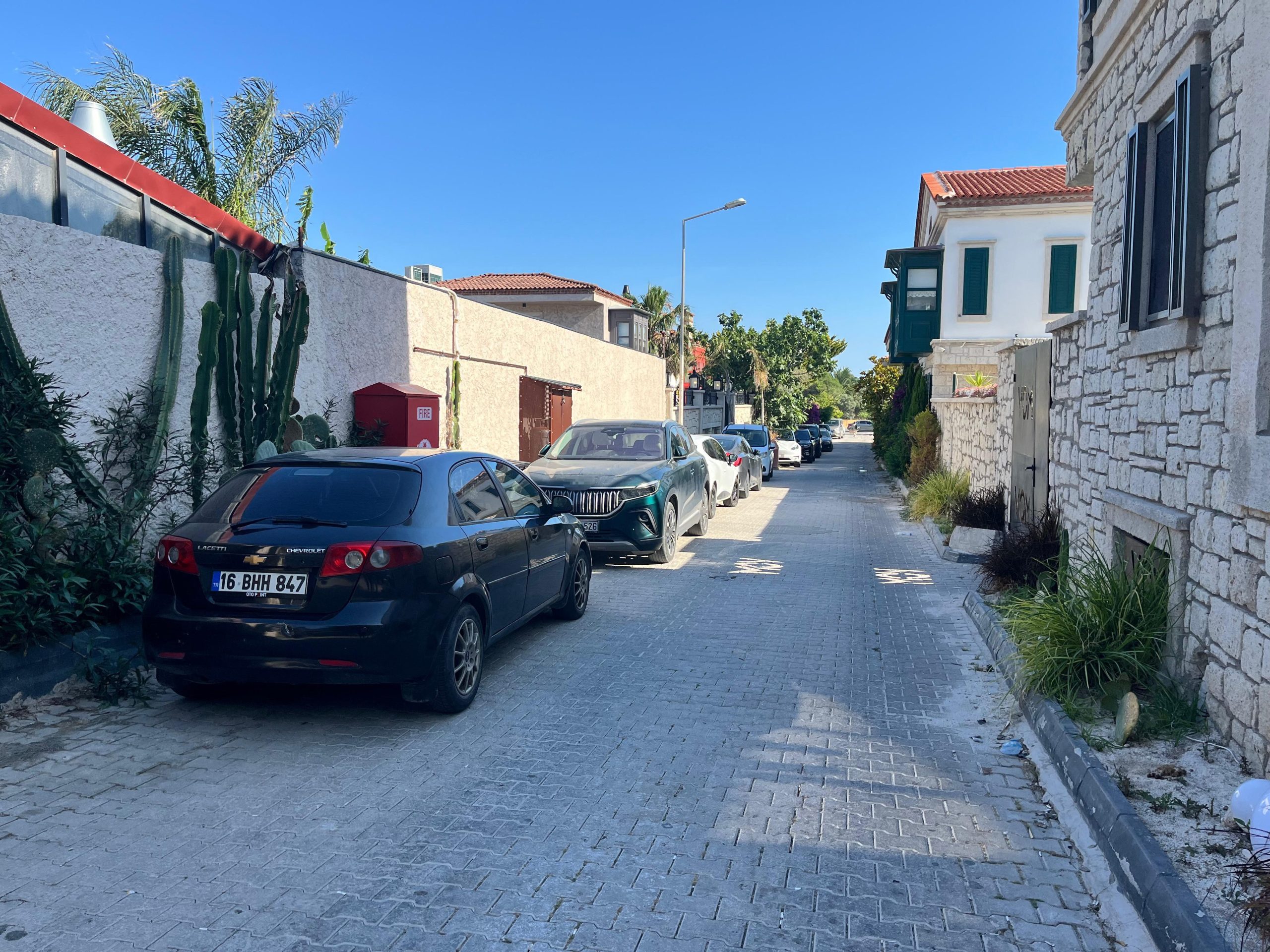 Polat cinayetinde kan donduran detaylar!