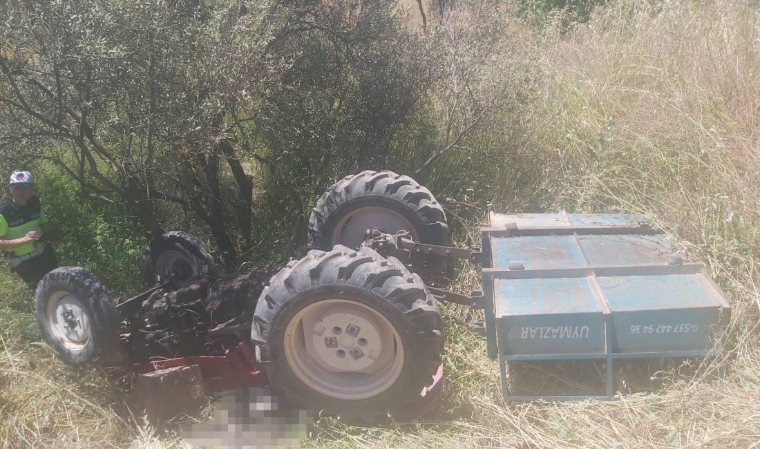 Manisa’nın Yunusemre ilçesinde kontrolden çıkarak yaklaşık 5 metre yükseklikten zeytinliğe