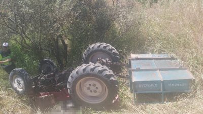 Manisa’nın Yunusemre ilçesinde kontrolden çıkarak yaklaşık 5 metre yükseklikten zeytinliğe