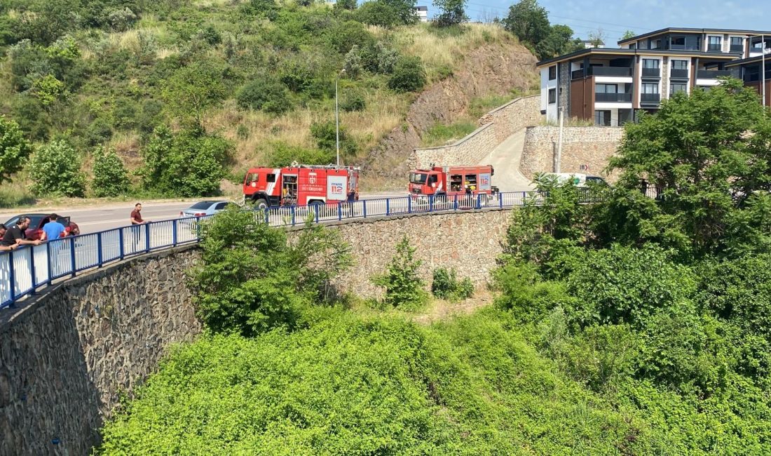 Kocaeli'nin Başiskele ilçesinde direksiyonu kilitlenen otomobil, demir bariyerleri parçalayarak yaklaşık