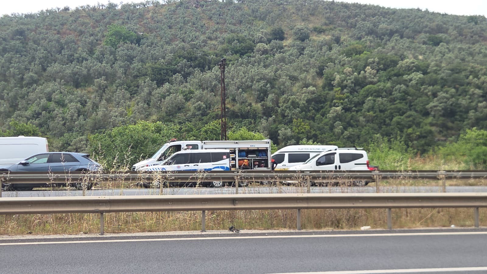 Kayıp neşet koçlu