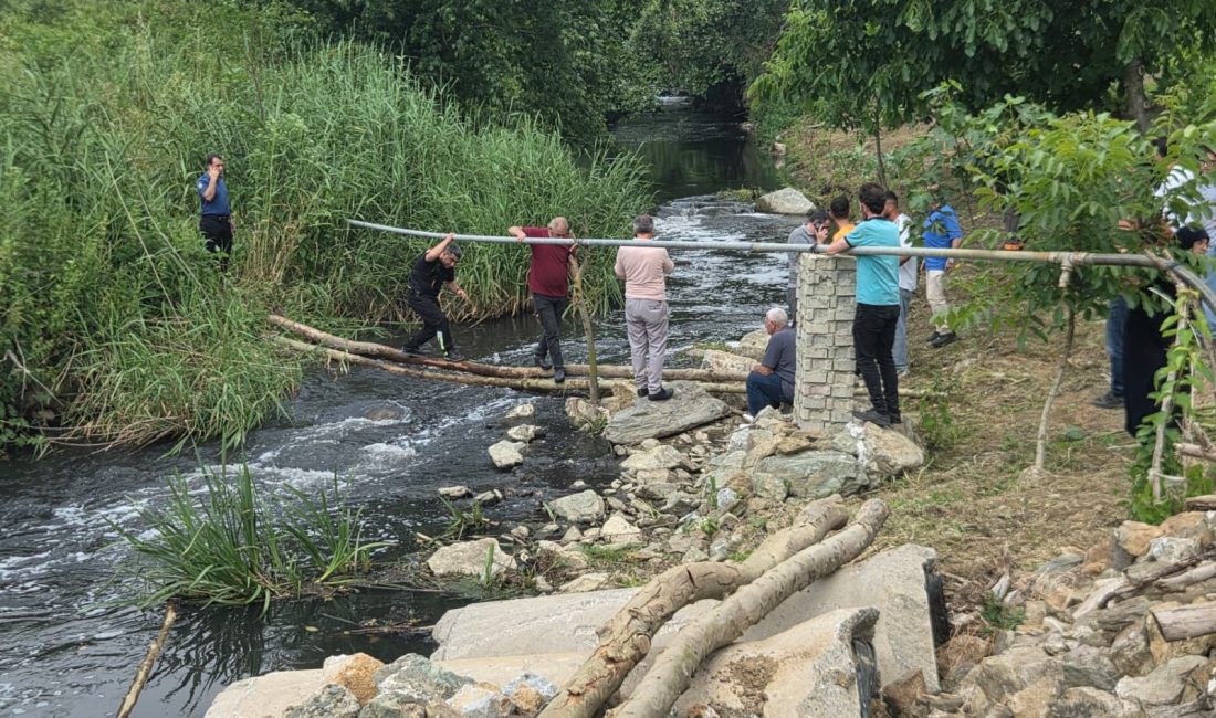 Gemlik’te dün sabah saatlerinden bu yana kayıp olarak aranan 75