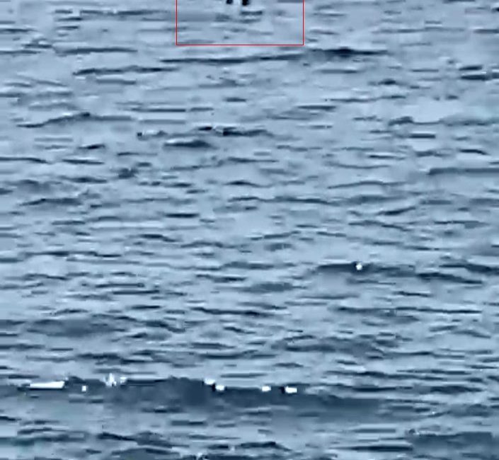 Kocaeli'nin Gebze ilçesi Eskihisar açıklarında seyir halindeki feribottan denize düşen