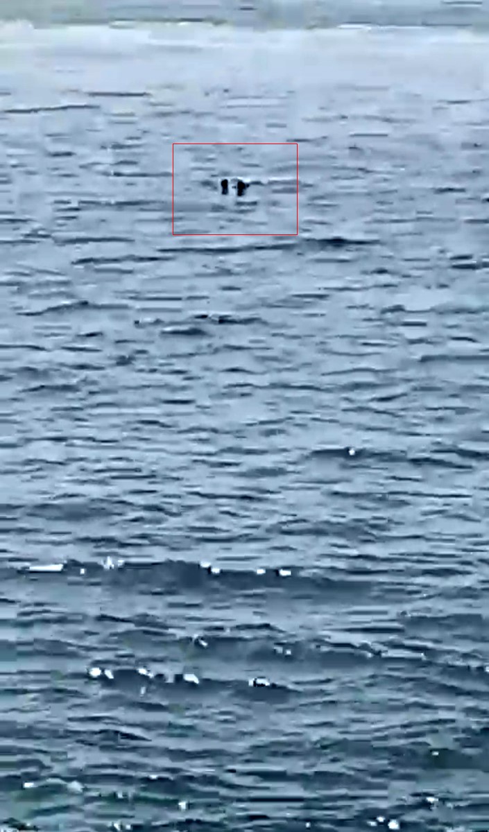 Kocaeli'nin Gebze ilçesi Eskihisar açıklarında seyir halindeki feribottan denize düşen
