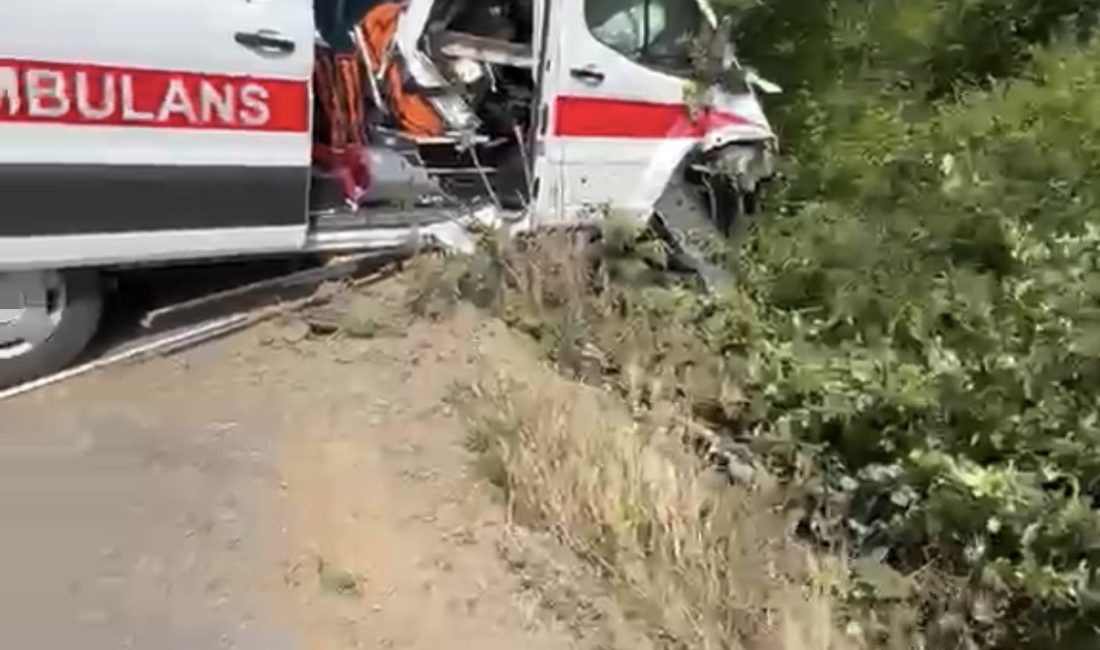 Kocaeli'nin Kandıra ilçesinde hasta taşıdığı esnada kontrolden çıkarak yol kenarındaki