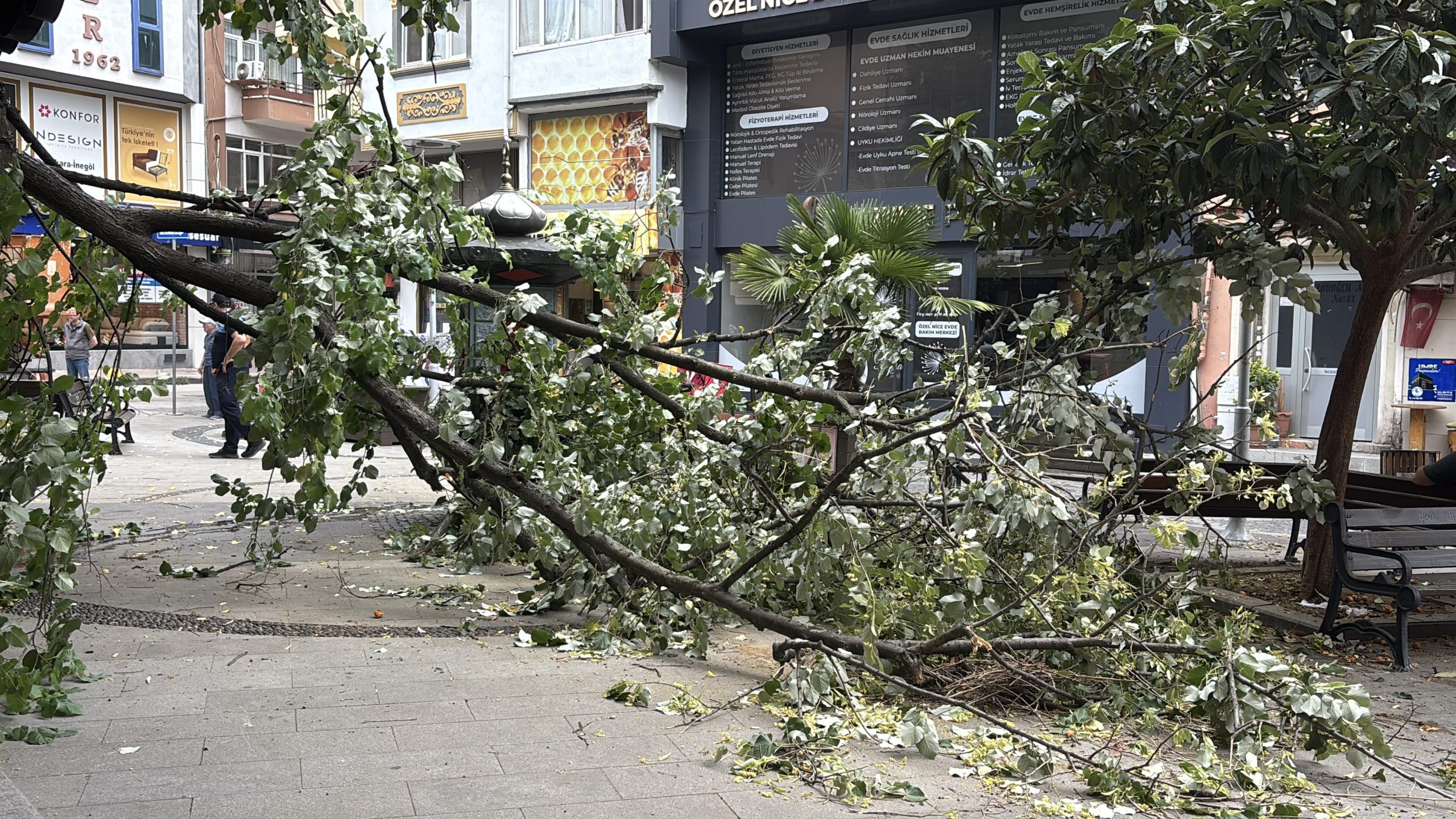 Kocaeli'de olay: İşletmenin üzerine düştü, herkes o sese koştu!