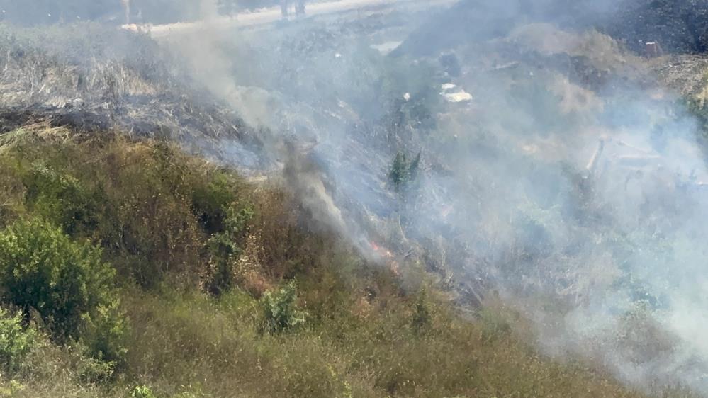Kocaeli’nin Darıca ilçesinde sahil şeridine yakın bir noktada çıkan otluk