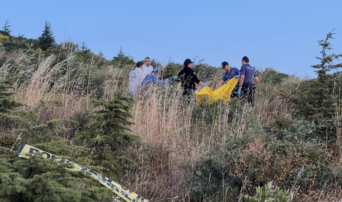 Kocaeli’nin Gebze ilçesindeki bir yürüyüş alanında vatandaşlar tarafından hareketsiz halde