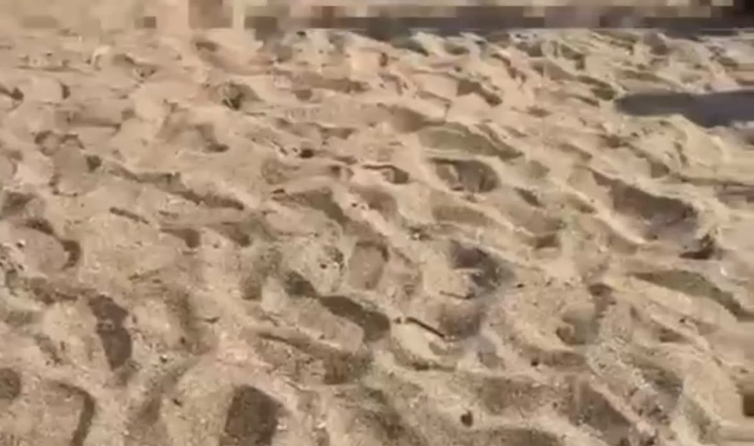 Kocaeli'nin Darıca ilçesindeki halk plajında serinlemek amacıyla denize giren 2