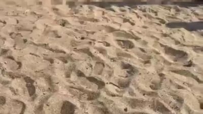 Kocaeli'nin Darıca ilçesindeki halk plajında serinlemek amacıyla denize giren 2