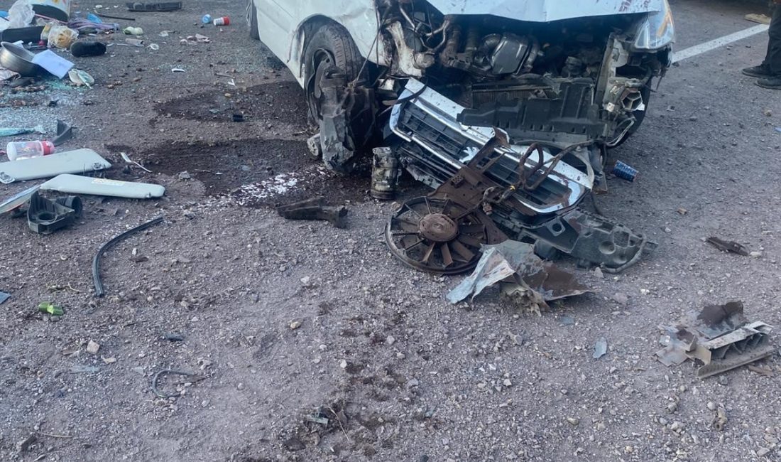 Elazığ’ın Palu ilçesinde sürücüsünün direksiyon hakimiyetini kaybettiği hafif ticari aracın
