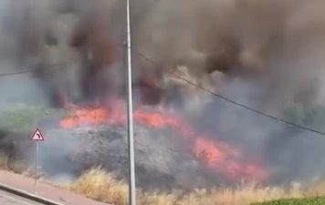 Kocaeli’nin Darıca ilçesinde boş arazideki kuruyan otların henüz belirlenemeyen bir