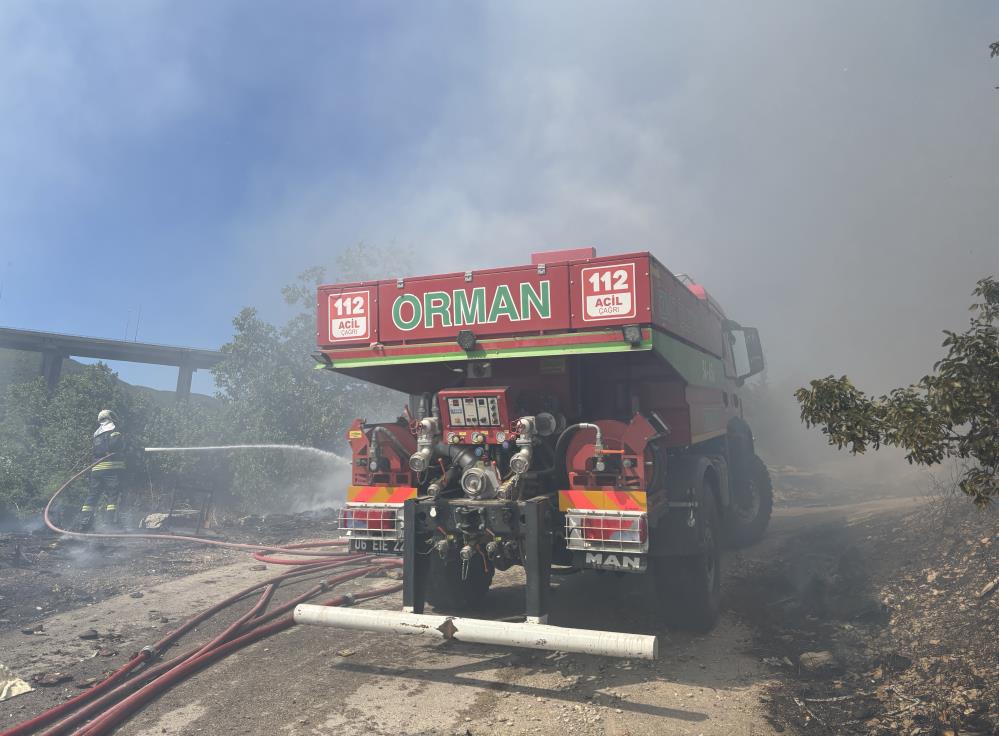 Kocaeli'de ormanlık alanda yangın!