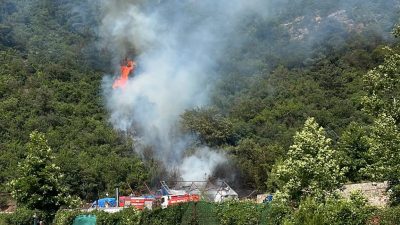 Bursa'da ağaçlık alanda çıkan yangın paniğe neden oldu. İhbar üzerine
