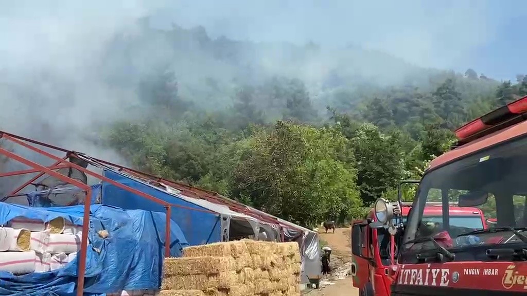 Komşu ilde orman yangını: Ekipler seferber oldu