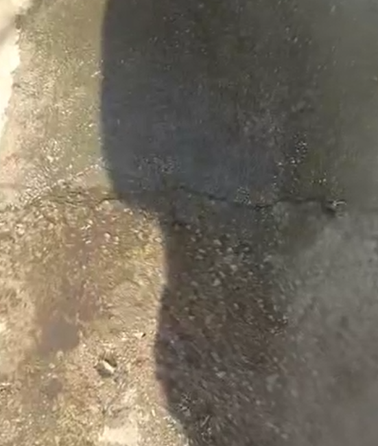 Kocaeli’nin İzmit ilçesi Terzibayırı Mahallesi'nde, yaklaşık iki yıldır sokak ortasından