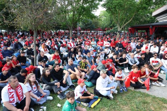 A Milli Futbol Takımımızın, 2026 FIFA Dünya Kupası D Grubu'ndaki