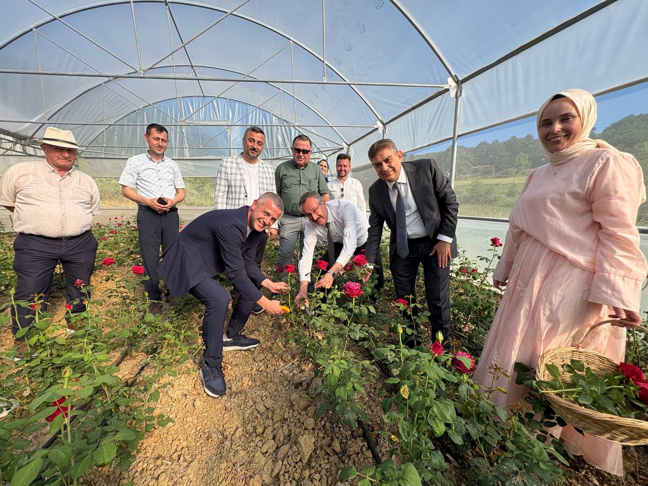 Kocaeli'nin ilk gül serası kadın elinden
