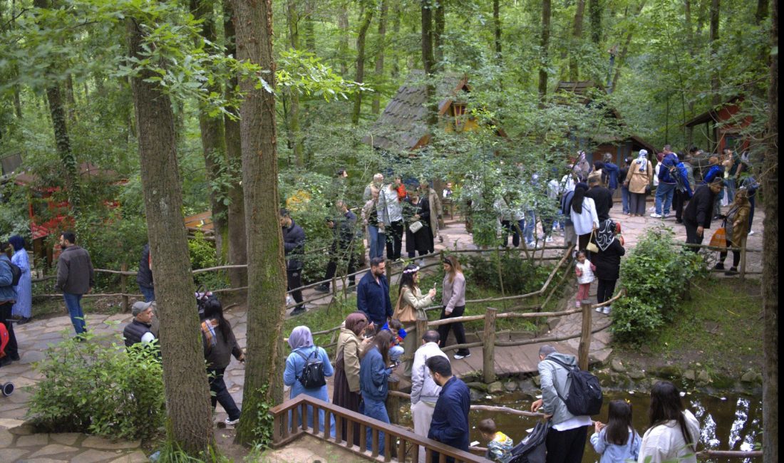 Kocaeli Büyükşehir Belediyesi’nin doğa turizmine kazandırdığı doğal yaşam alanları, 9