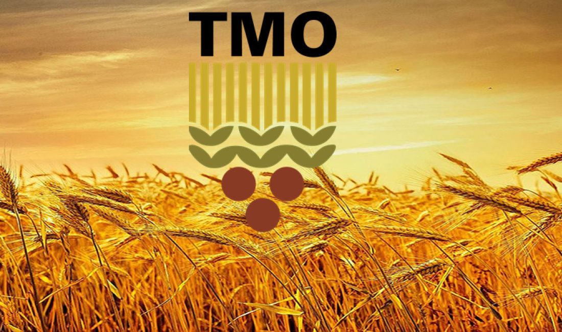 Toprak Mahsulleri Ofisi (TMO) Genel Müdürlüğü, bünyesindeki Teftiş Kurulu Başkanlığı’nda