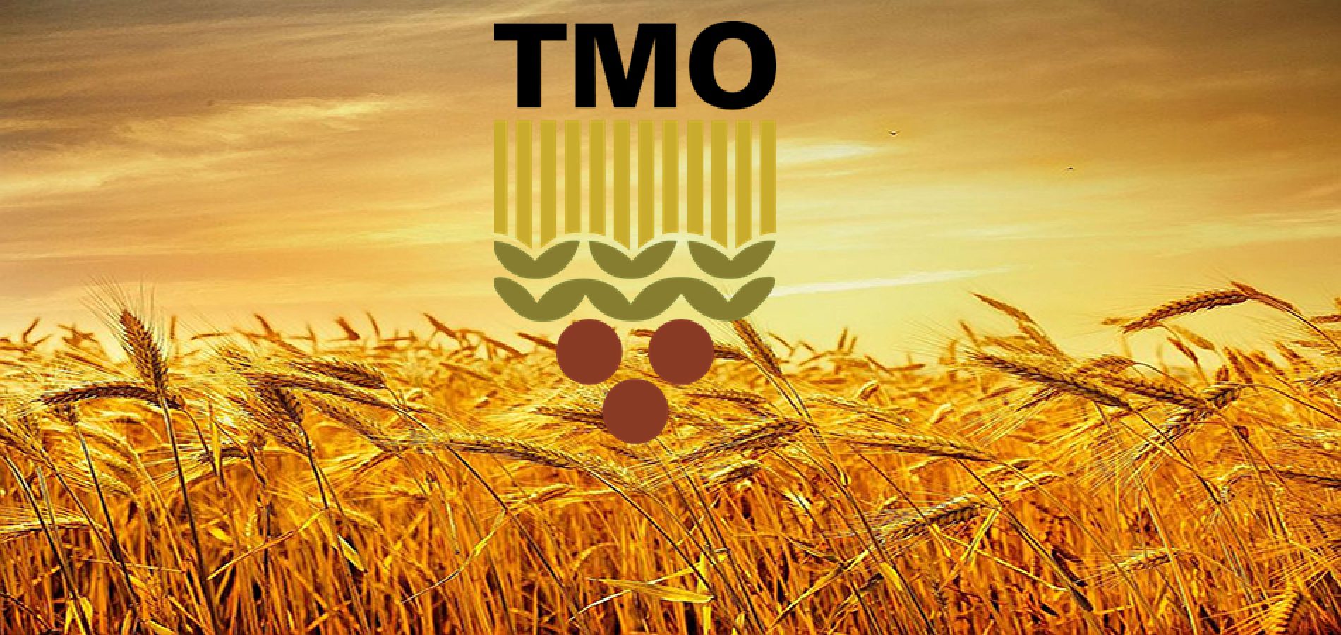 Toprak Mahsulleri Ofisi (TMO) Genel Müdürlüğü, bünyesindeki Teftiş Kurulu Başkanlığı’nda