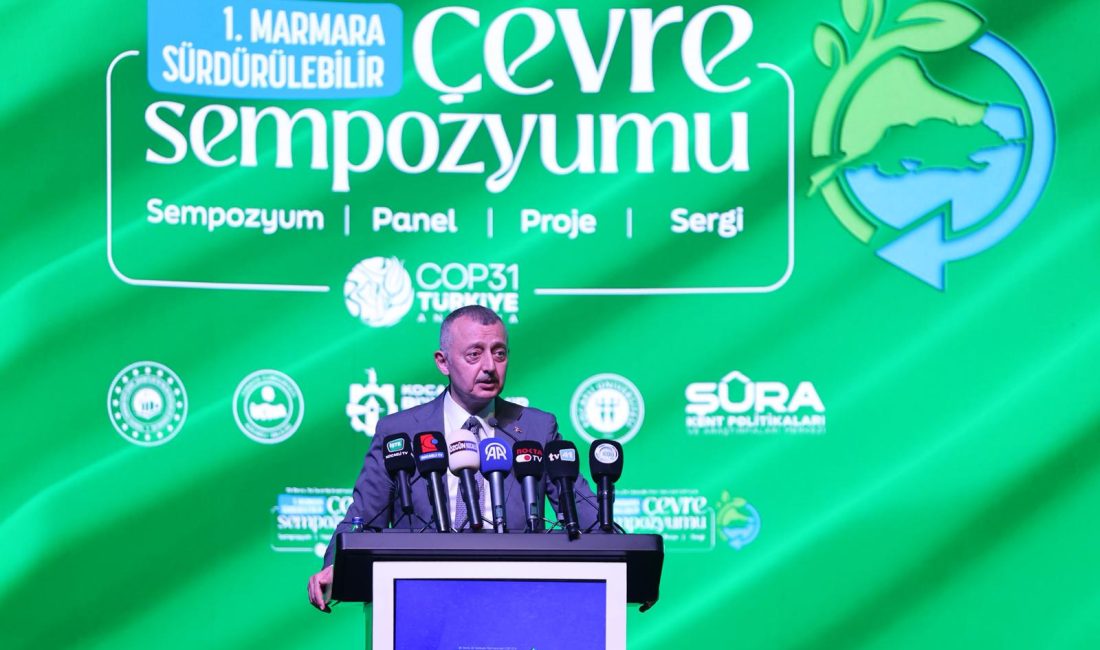 Çevre anlaşmalarının imzalanması ve uygulanması safhasında ülkelerin ekonomik kaygılarla hareket