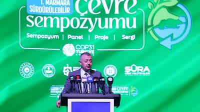 Çevre anlaşmalarının imzalanması ve uygulanması safhasında ülkelerin ekonomik kaygılarla hareket
