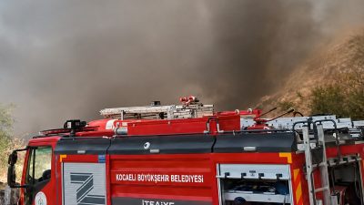 İzmit - İstanbul Otoyolu geçiş güzergahında bulunan ormanlık alanda, gün