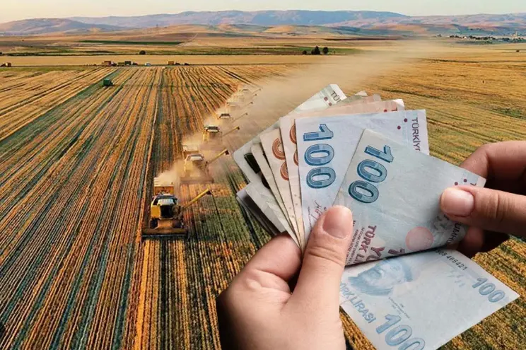 Çiftçiye dev destek! 165,5 milyon lira hesaplara yatıyor