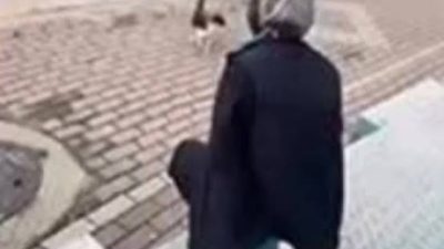 Kocaeli’nin Karamürsel ilçesinde bir sokak kedisinin yüzüne yağ çözücü sıkan