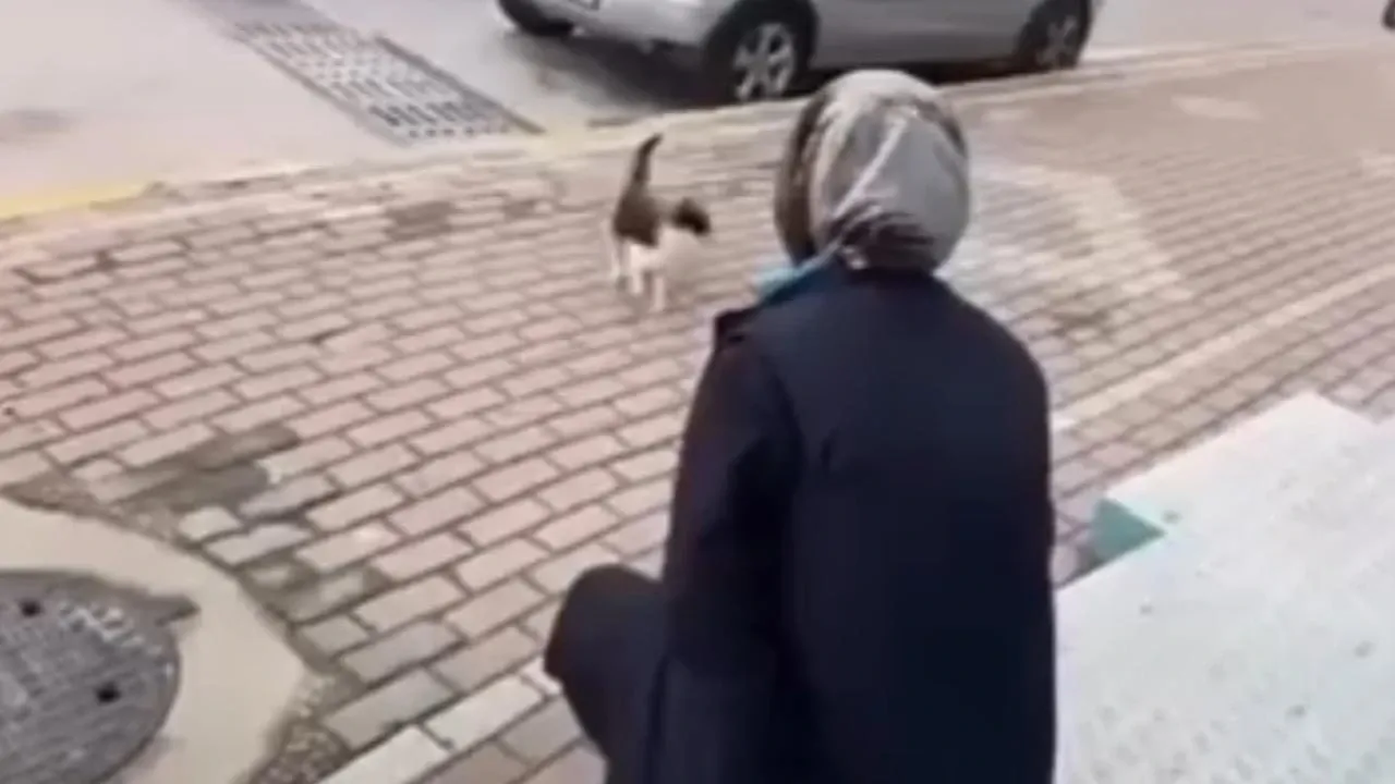 Kocaeli'de cani market çalışanına ödül gibi ceza