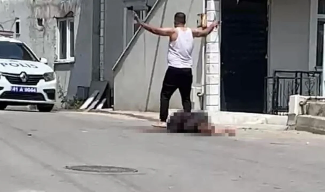 Elif Kingsu'nun öldürülmesinin ardından ortaya atılan iddialar, ailenin yıllardır ekonomik