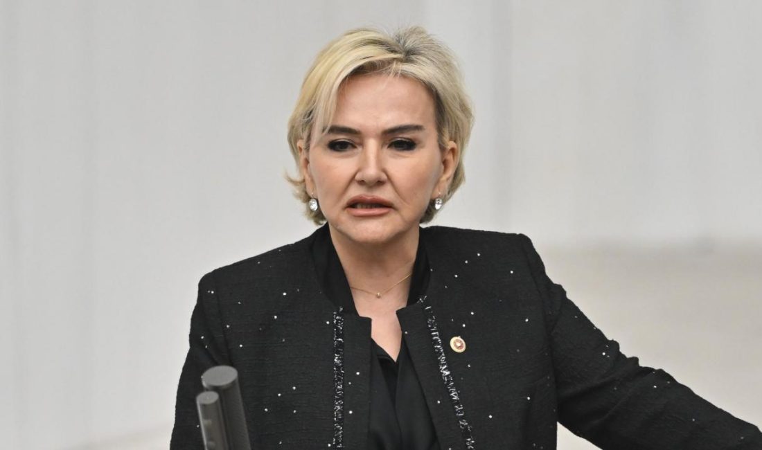 Cumhuriyet Halk Partisi (CHP) İstanbul Milletvekili Nimet Özdemir, partisinden istifa