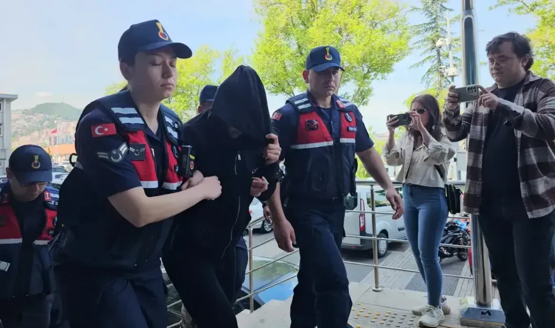 Zonguldak'ın Beycuma beldesine bağlı Hacıali köyü, dün sabah saatlerinde gizemli