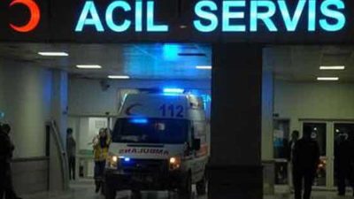 Zonguldak'ın Karadeniz Ereğli ilçesinde fındık bahçesinde çalıştığı sırada eşek arısının