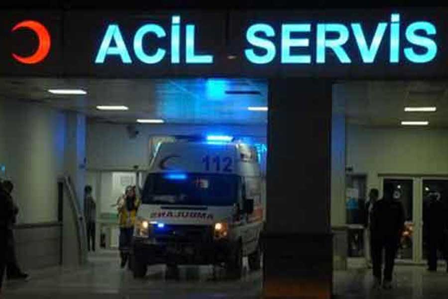 Eşek arısı 57 yaşındaki kadının sonu oldu