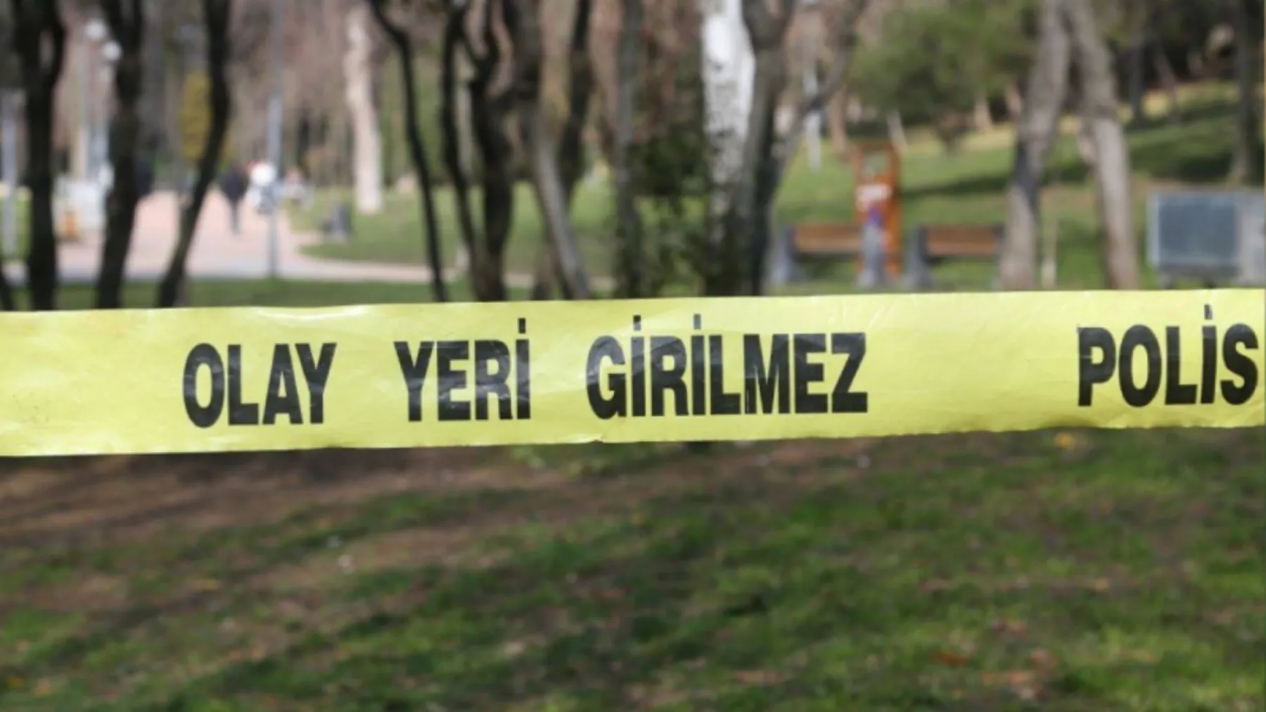 Fındık bahçesinde yanmış ceset şoku 